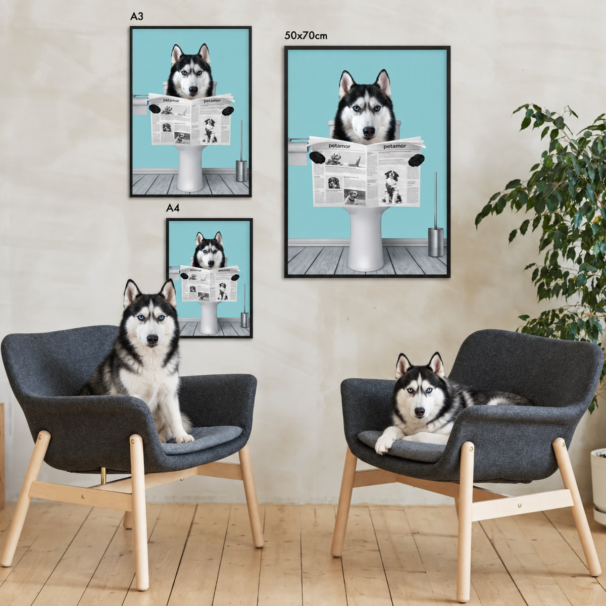 Drei personalisierte Poster mit einem Huskie, der eine Zeitung liest, in schwarzen Rahmen. Stühle und Pflanze im Hintergrund.