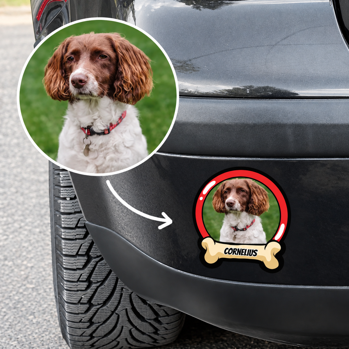 Personalisierter Autoaufkleber mit Hundebild und Namen, angebracht am Heck eines schwarzen Fahrzeugs.