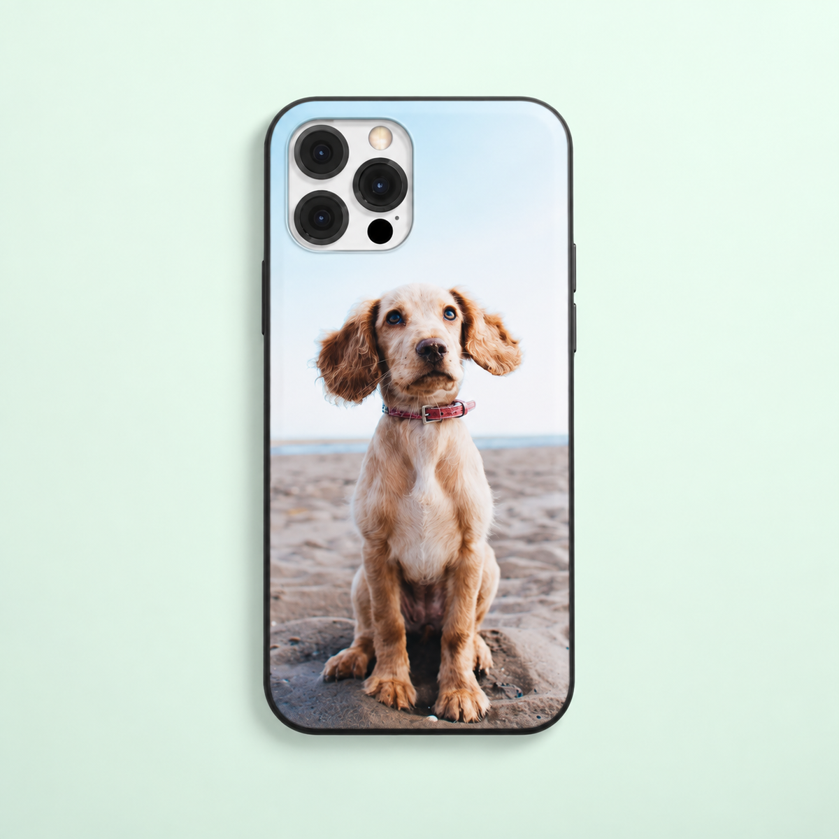 Handyhülle mit Foto eines sitzenden Hundes am Strand, schwarze Umrandung.