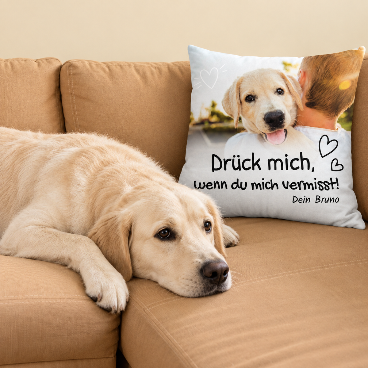 Beige Kissen mit Aufschrift und Hundemotiv, liegt auf einer Couch neben einem Labrador.
