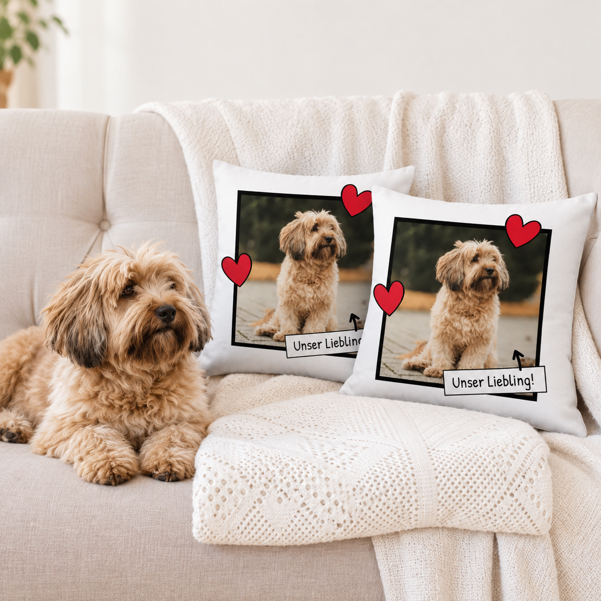 Zwei personalisierte Kissen mit Foto eines Hundes und Herzchen auf einem beigen Sofa.