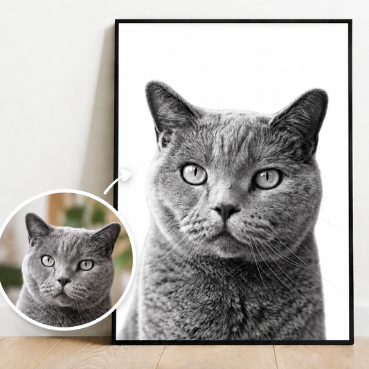 Personalisierte Poster mit grauem Katzenportrait in Schwarz-Weiß. Inkl. kleinerem Bild in Farbe.