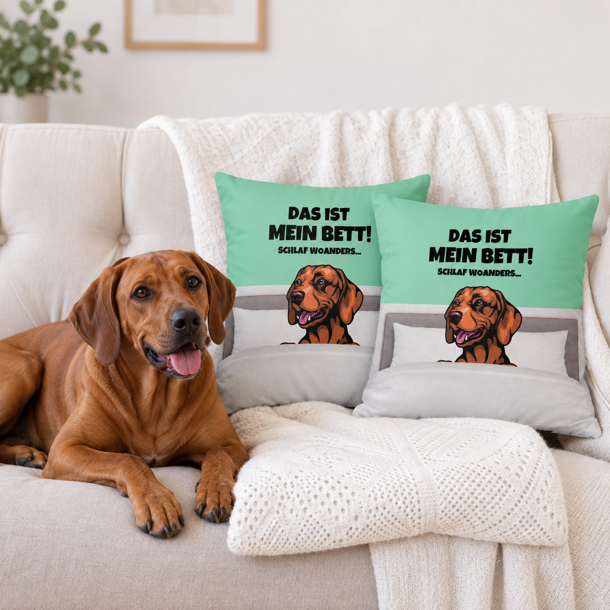 Kissen in Hellblau und Grau mit Hundemotiv und Text "Das ist mein Bett!" auf einem Sofa. Hund liegt daneben.