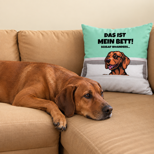 Personalisierbares Kissen mit Hundedesign in mintgrün und grauer Stoffunterlage auf einem Sofa. Hund liegt daneben.