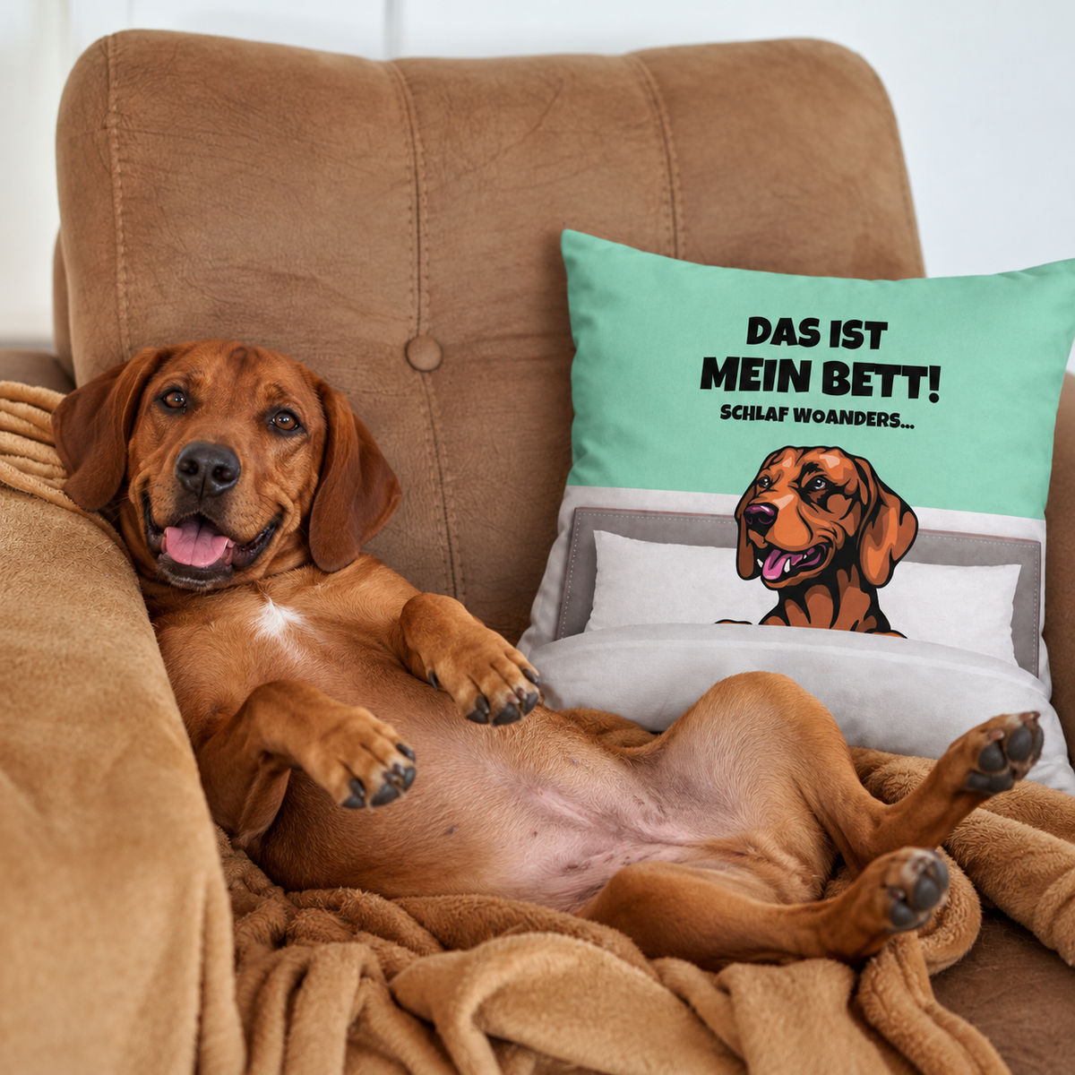 Braunes Hundekissen mit Aufdruck "Das ist mein Bett!" auf türkisfarbigem Hintergrund, Hund liegt entspannt auf einer Couch.
