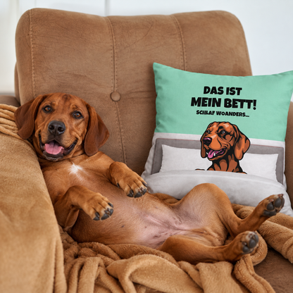 Braunes Hundekissen mit Aufdruck "Das ist mein Bett!" auf türkisfarbigem Hintergrund, Hund liegt entspannt auf einer Couch.