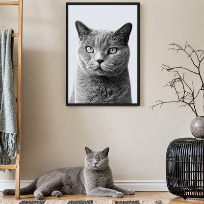 Graues Haustierportrait im Rahmen, daneben liegt eine graue Katze auf dem Boden. Minimalistische Wohnumgebung.