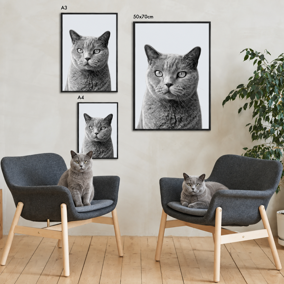 Drei gerahmte Haustierportraits einer grau-gestromten Katze in einem modernen Wohnraum.