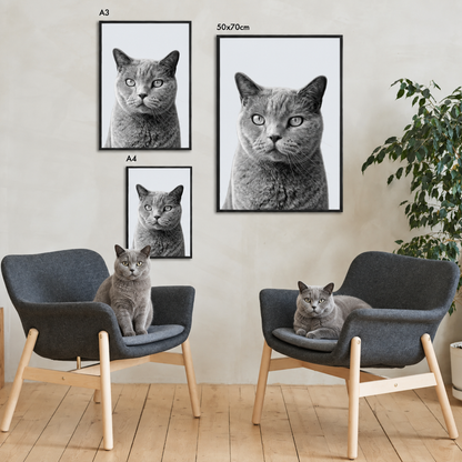 Drei gerahmte Haustierportraits einer grau-gestromten Katze in einem modernen Wohnraum.
