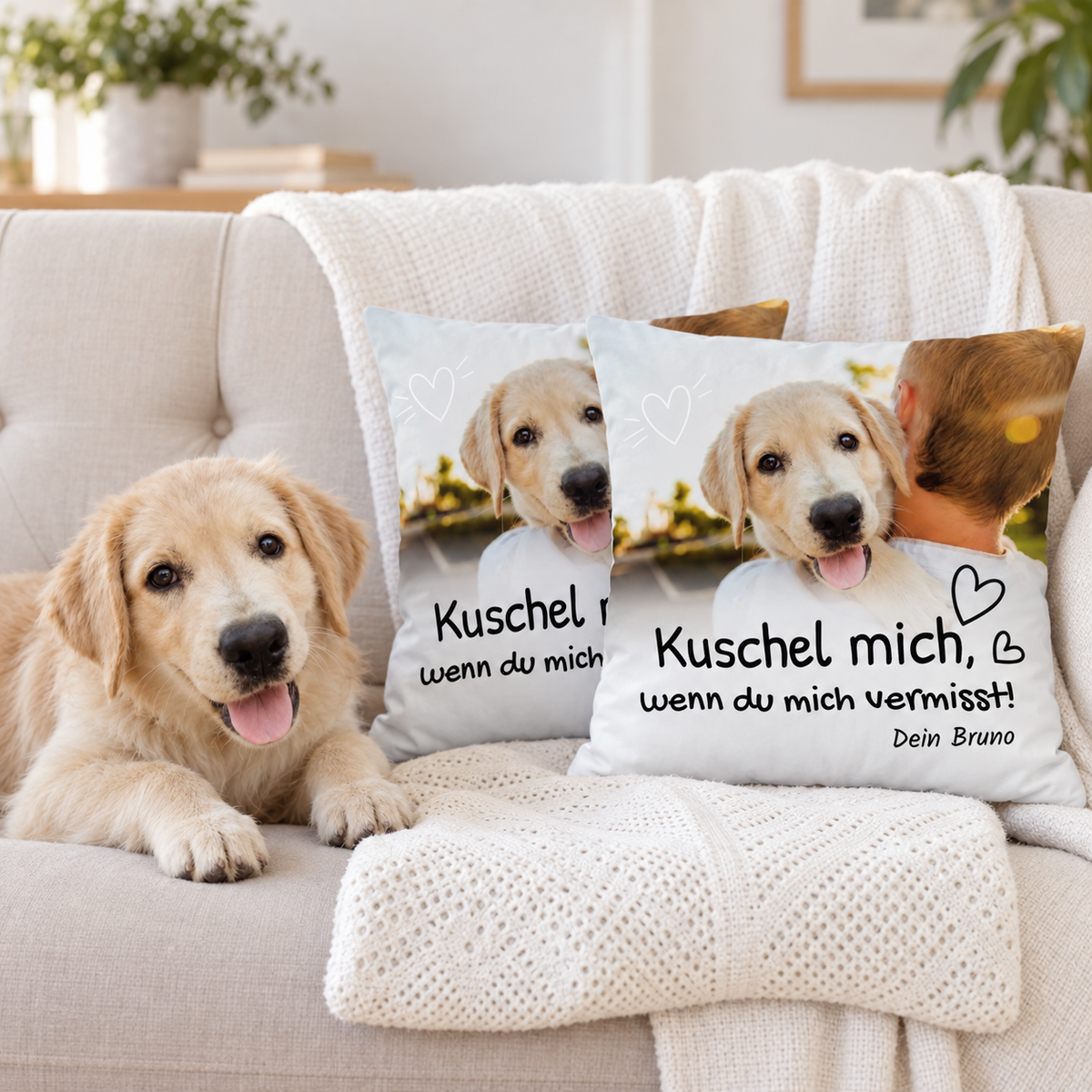 Zwei personalisierte Kissen mit Hundemotiv und Text, auf einem Sofa neben einem Hund.