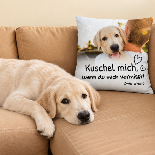 Personalisiertes Kissen mit Aufschrift und Bild eines Hundes, auf einer Couch liegend neben einem Labrador.