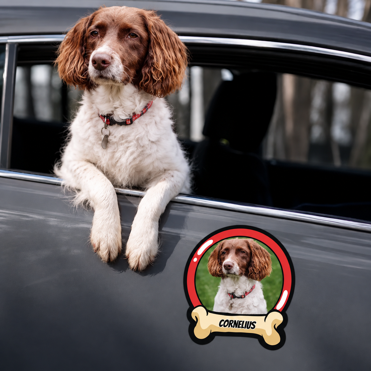 Personalisierter Autoaufkleber mit einem Hundebild und dem Namen "CORNELIUS" in einem Knochenrahmen.