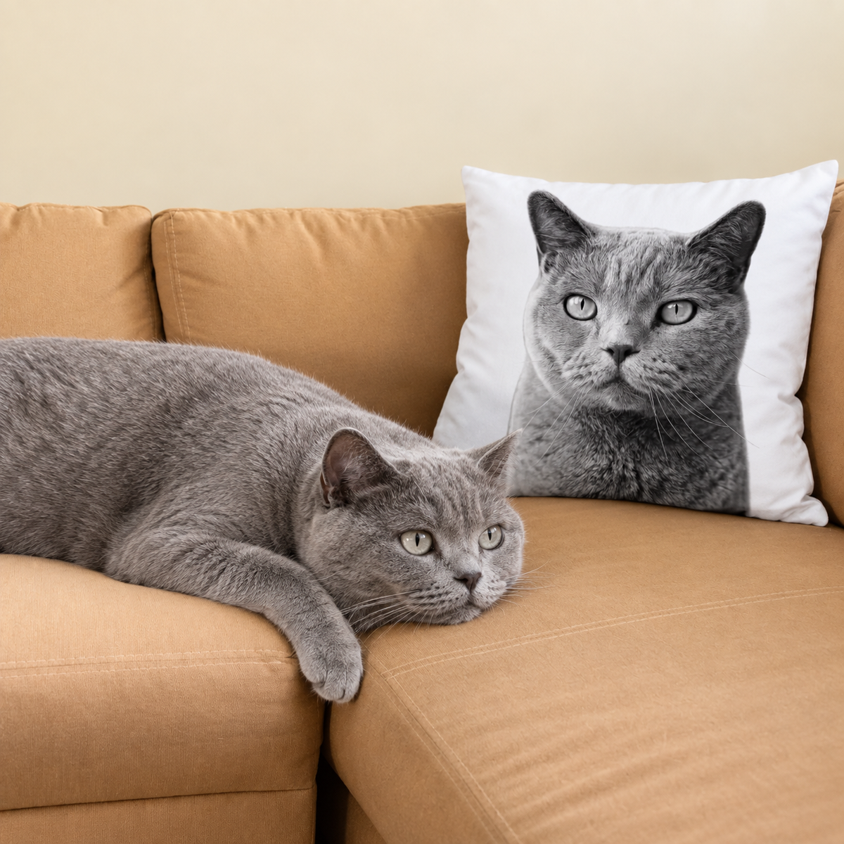 Grau-weißes Kissen mit einem Haustierportrait auf einem braunen Sofa und einer grauen Katze daneben.