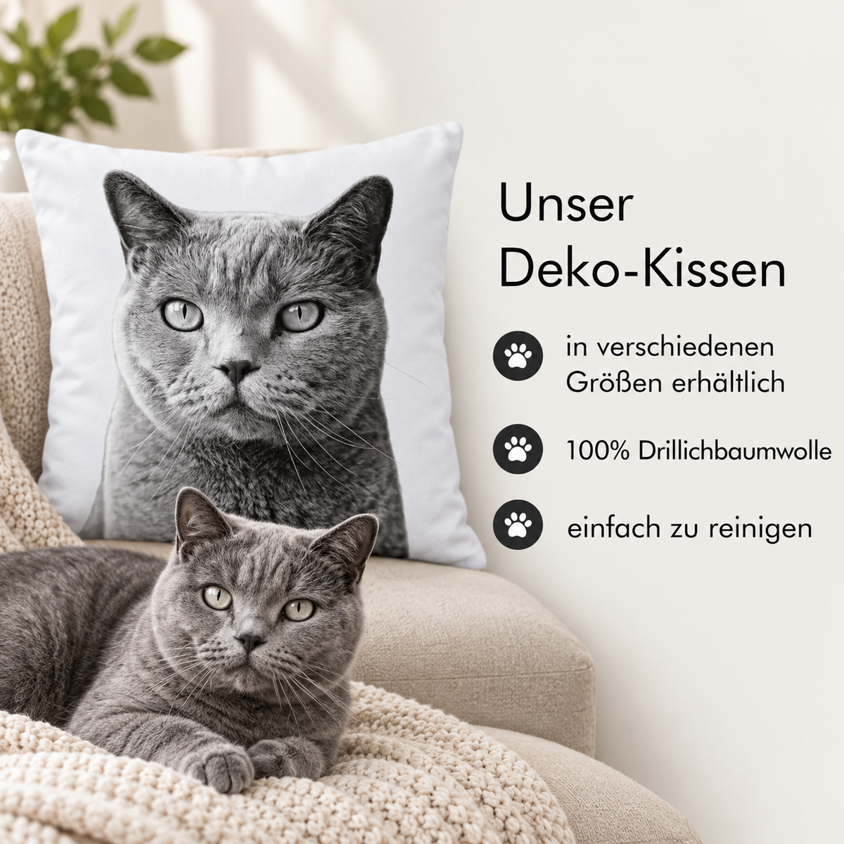 Kissen mit grauem Haustierportrait und einer echten grauen Katze auf einem gemütlichen Sessel.
