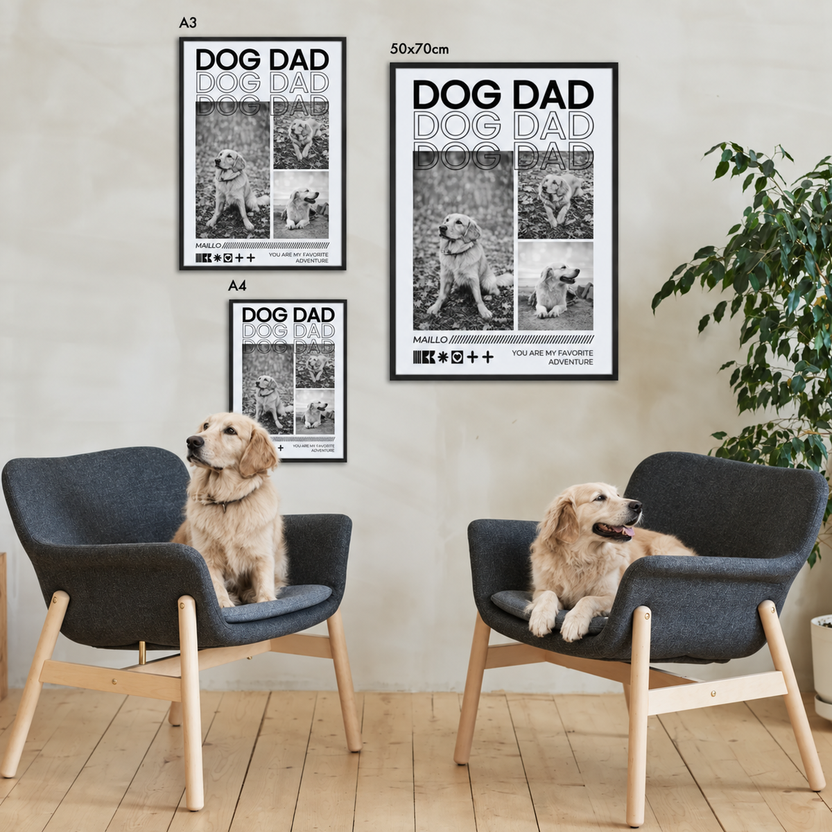 Drei personalisierte Dog Dad Poster in unterschiedlichen Größen rahmenlos an der Wand. Zwei Hunde auf grauen Sessel.