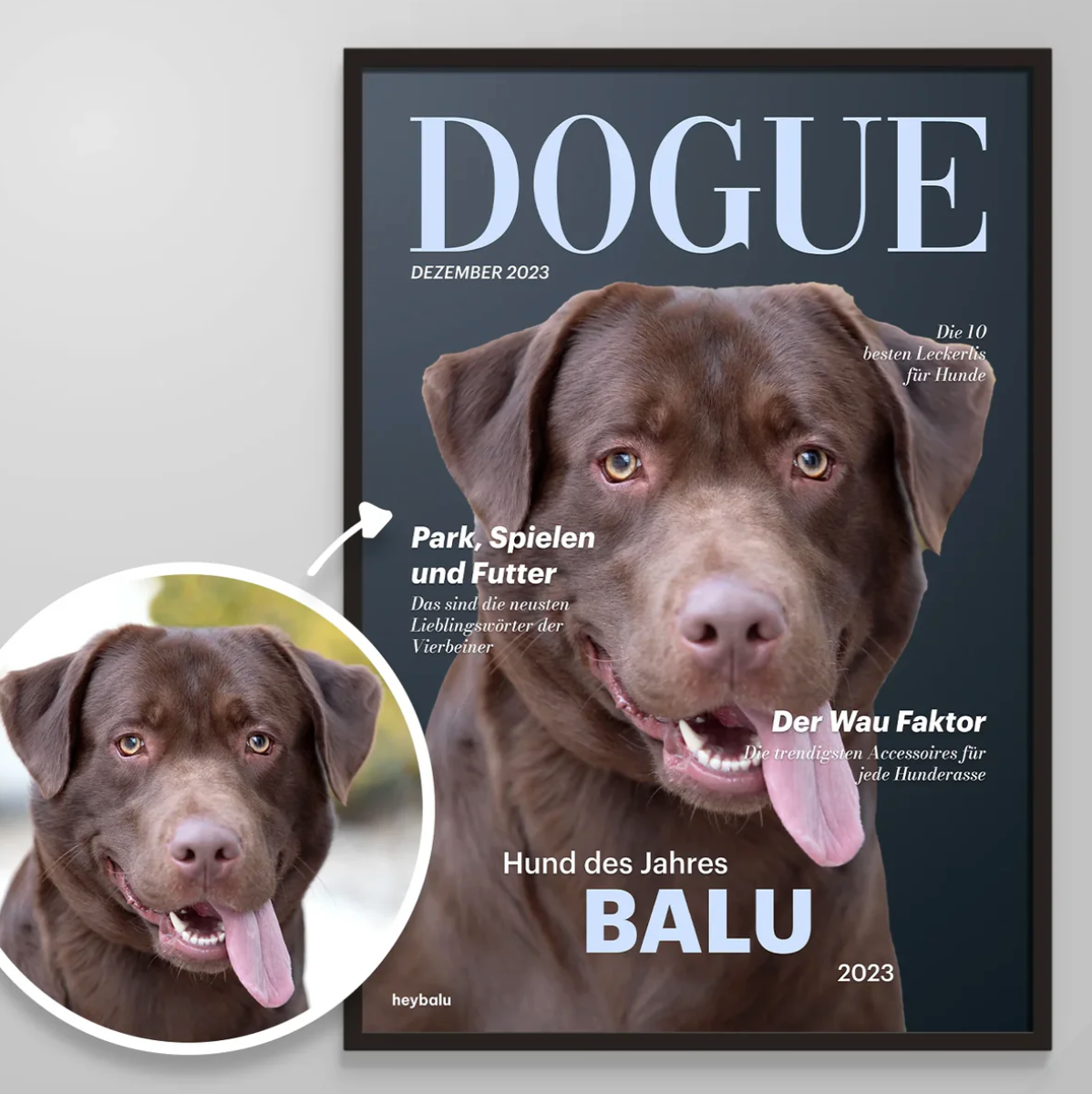 Personalisierbares Poster für Hund, zeigt Labrador mit lächelndem Gesicht, modernem Design und großem Schriftzug „DOGUE“.