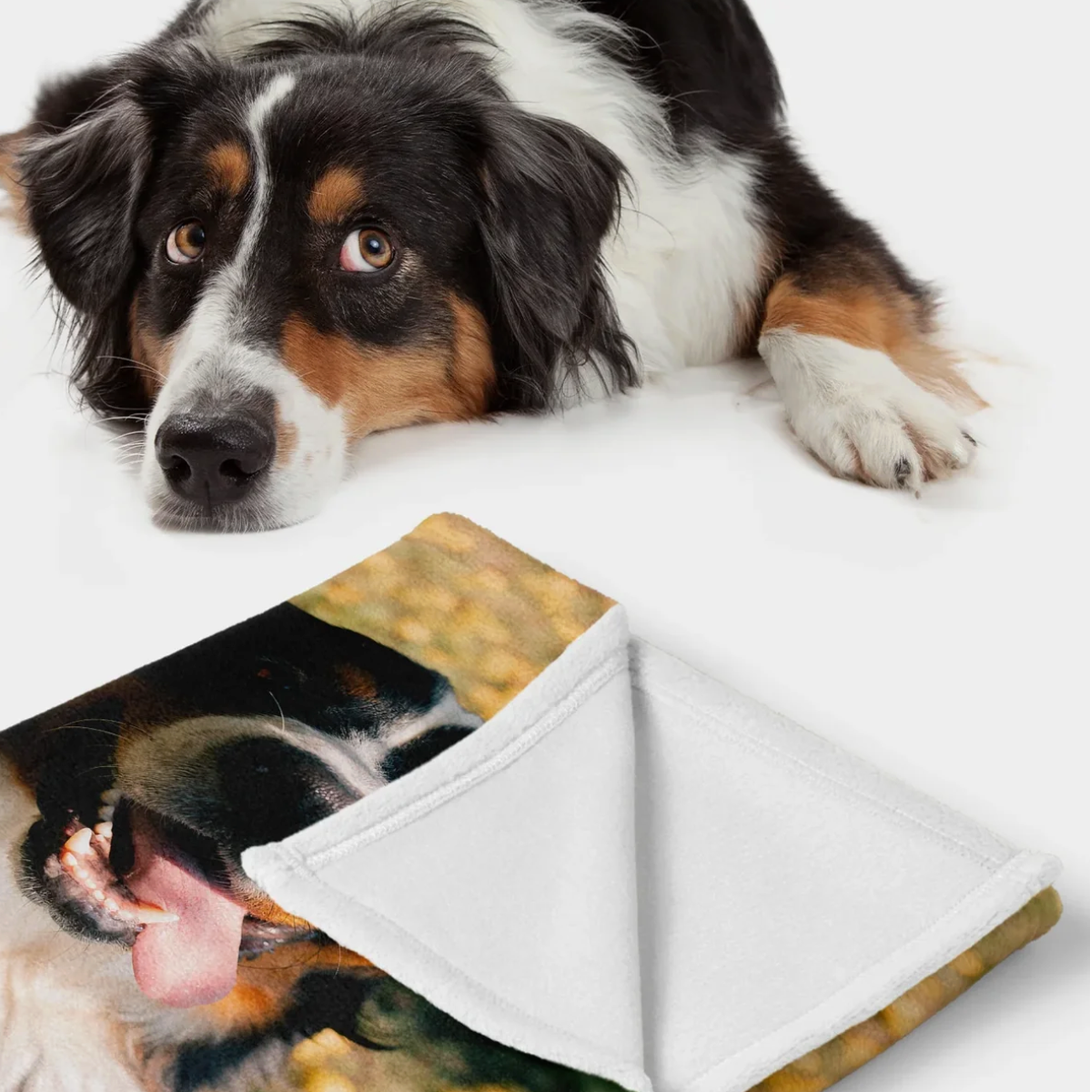 Personalisierte Decke mit Foto eines Hundes, aus weichem Material, sichtbar eine Seite mit flauschiger Textur.