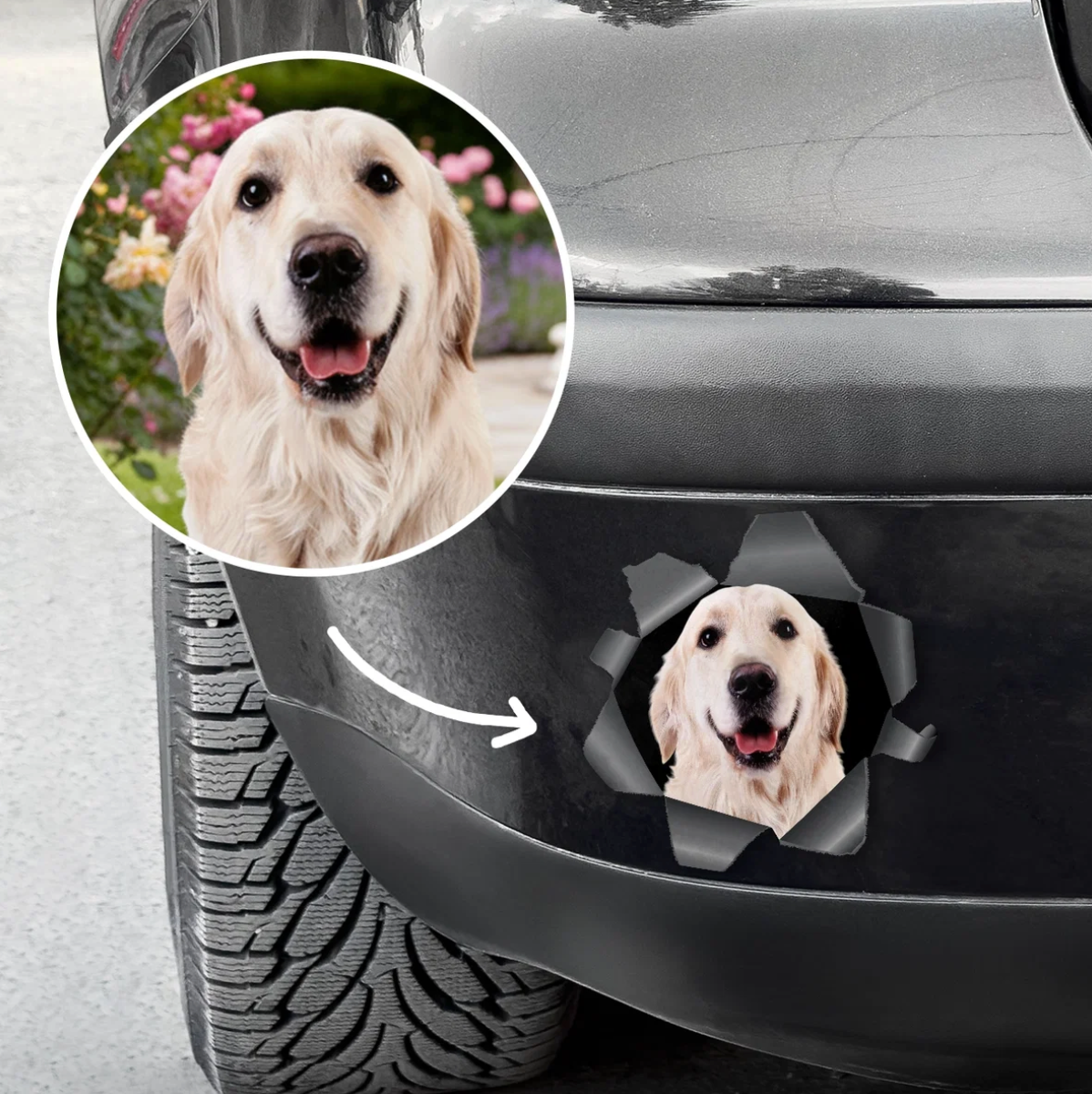 Personalisierter Autoaufkleber mit Hundebild, das aus einer Riss-Optik herausblickt.