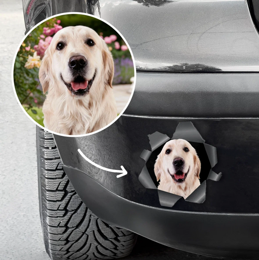 Personalisierter Autoaufkleber mit Hundebild, das aus einer Riss-Optik herausblickt.