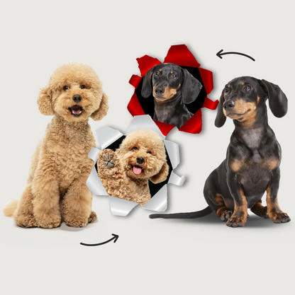 Zwei Hunde, ein Goldendoodle und ein Dackel, nebeneinander, mit Fotoeffekten im Hintergrund.