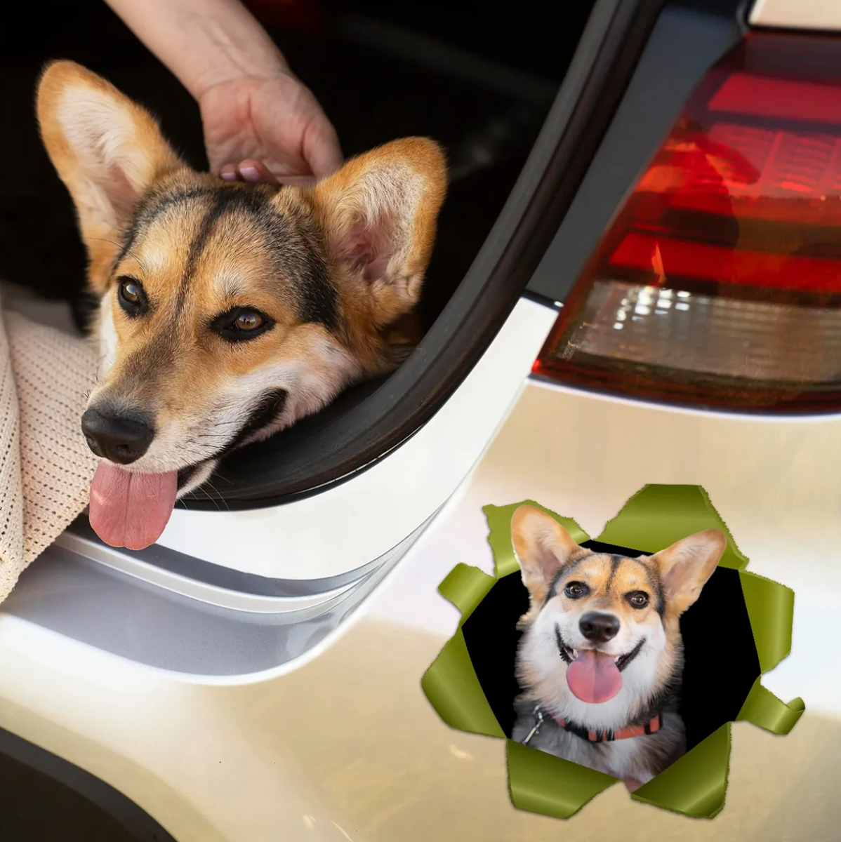 Personalisierter Autoaufkleber mit Hundemotiv, zeigt einen lächelnden Corgi-Hund in einer aufgekleberten Öffnung.
