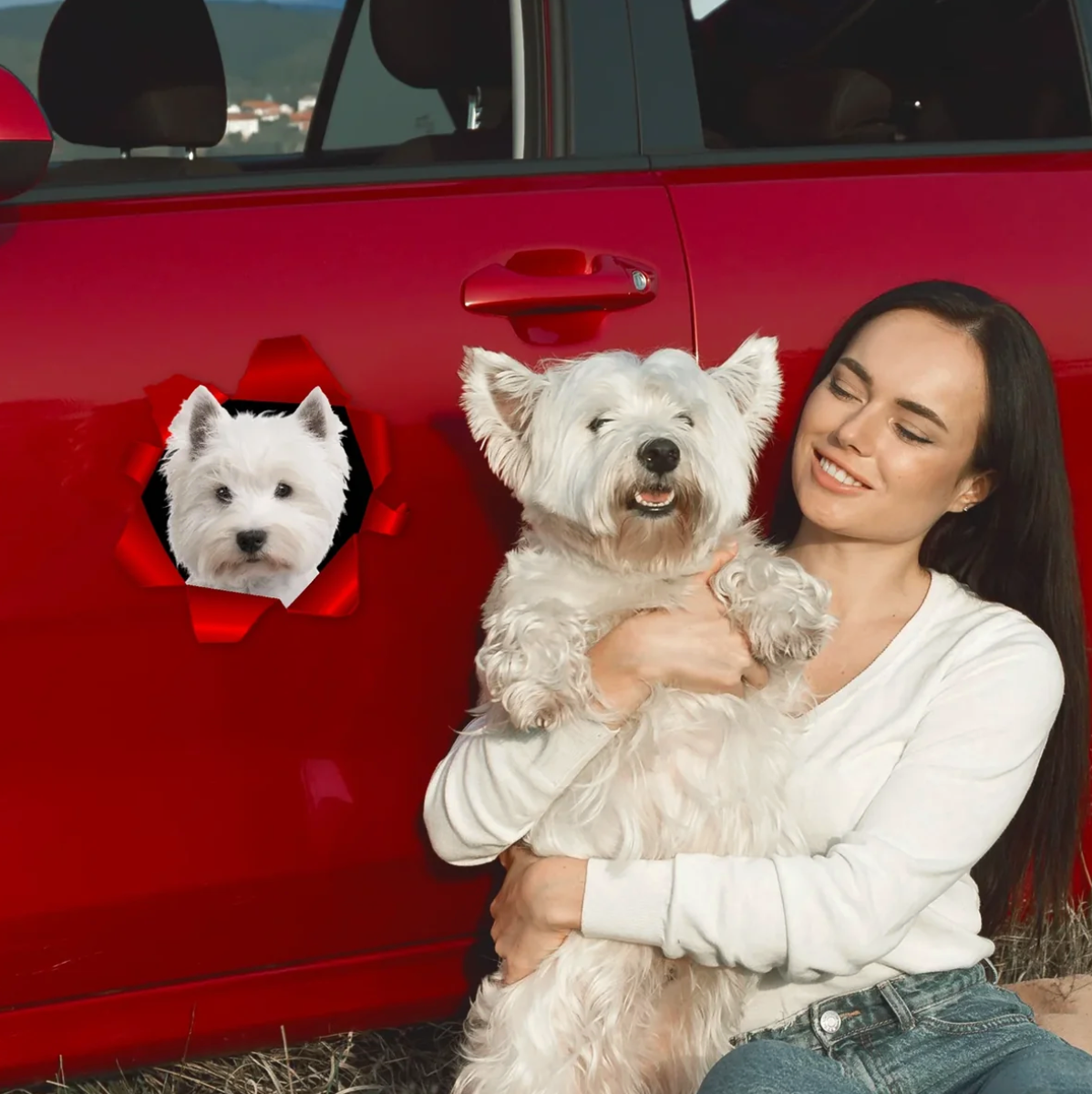 Person mit einem weißen Hund, Auto in roter Farbe im Hintergrund, Autoaufkleber mit Hundebild.