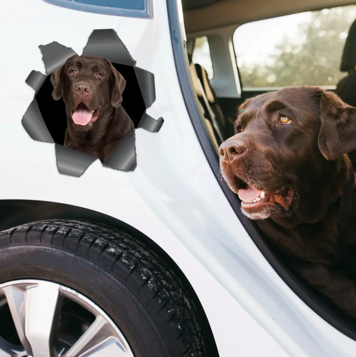 Personalisierter Autoaufkleber mit braunem Labrador, der durch eine sichtbare Riss-Optik betrachtet.