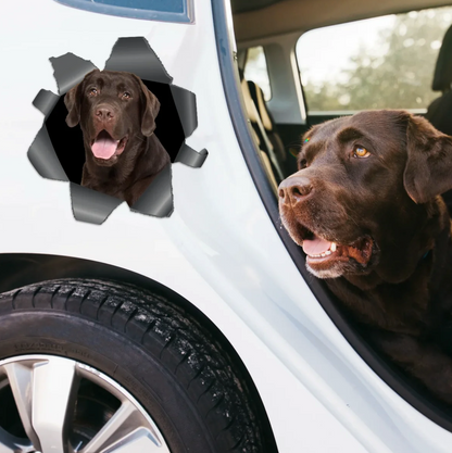 Personalisierter Autoaufkleber mit braunem Labrador, der durch eine sichtbare Riss-Optik betrachtet.