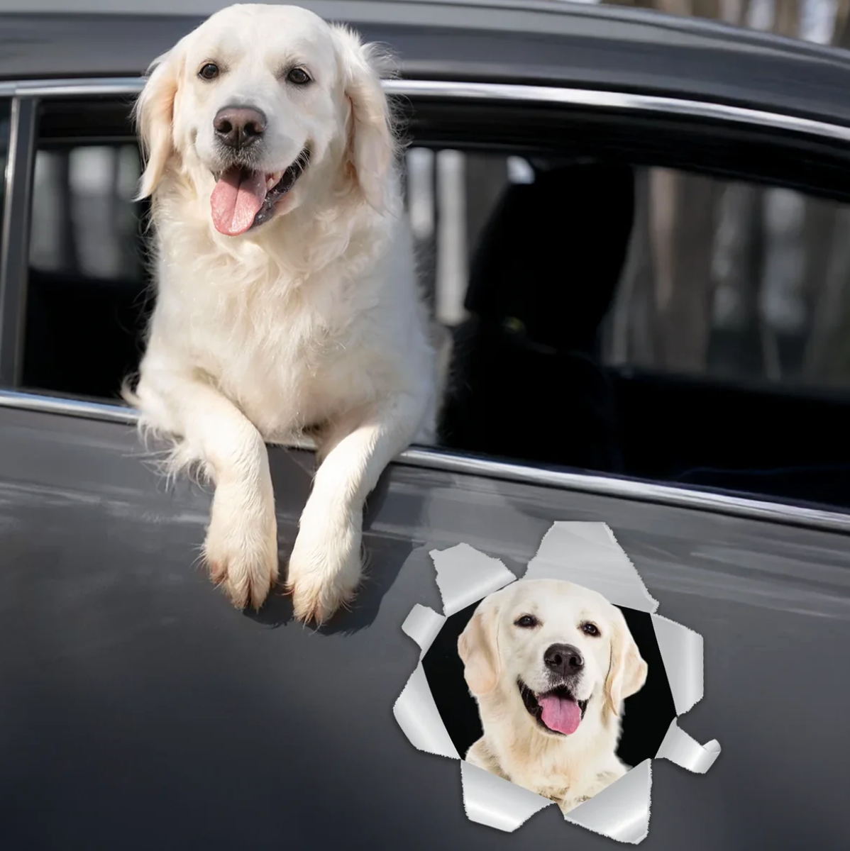 Autoaufkleber mit einem Labrador, der aus einem Fenster schaut. Grau mit realistischer Bilddarstellung.