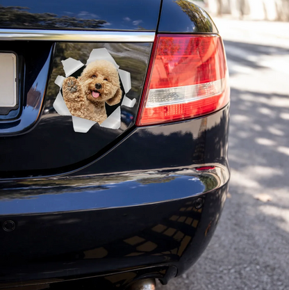 Autoaufkleber mit einem Hund, der durch einen Riss in einer grauen Wand schaut, auf einem schwarzen Auto angebracht.