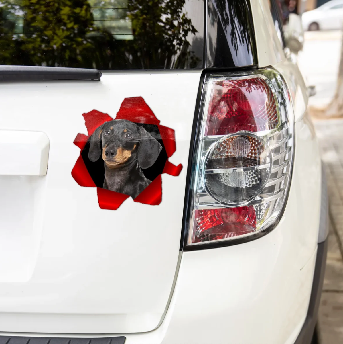 Personalisierter Autoaufkleber mit einem schauenden Dachshund, farbige Hintergründe in Rot und Schwarz.