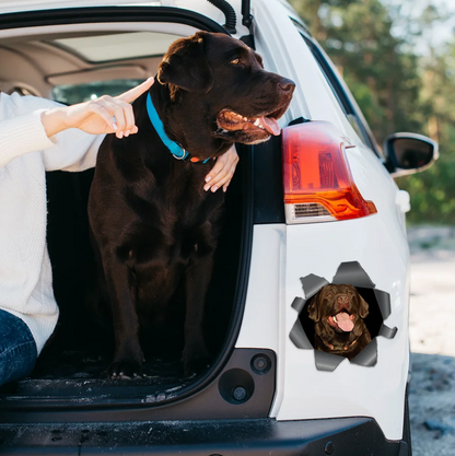 Personalisierter Autoaufkleber - Spähendes Foto