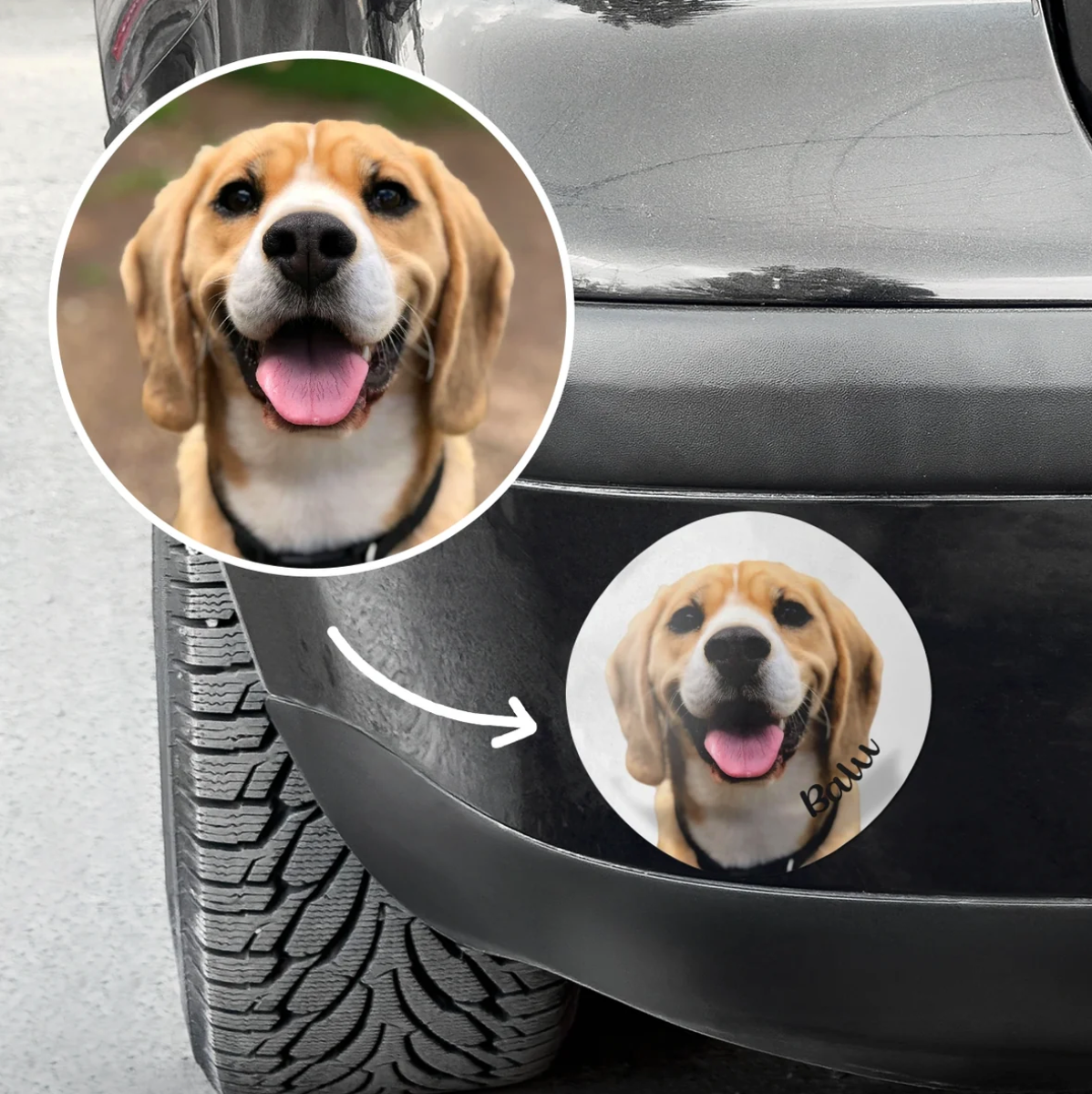 Personalisierter Autoaufkleber mit Foto eines Beagle-Hundes und dem Schriftzug „Bau“.