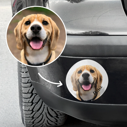 Personalisierter Autoaufkleber mit Foto eines Beagle-Hundes und dem Schriftzug „Bau“.