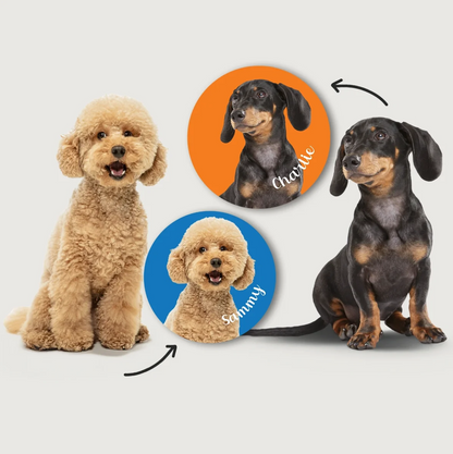 Hunde in verschiedenen Farben und Posen, umgeben von runden Aufklebern mit Namen auf buntem Hintergrund.