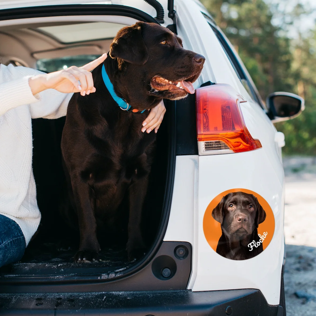 Personalisierter Autoaufkleber mit Hundebild auf einem weißen Fahrzeug. Hund im Kofferraum sitzt.