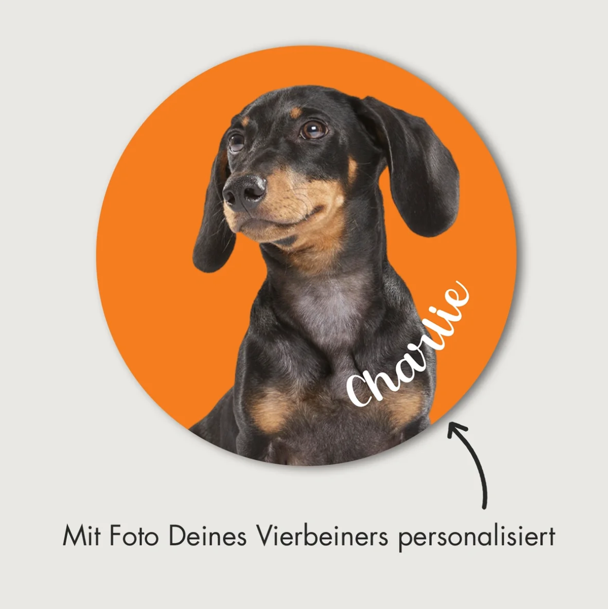 Runder Autoaufkleber mit Hundebild, orange Hintergrund und personalisiertem Text „Charlie“.
