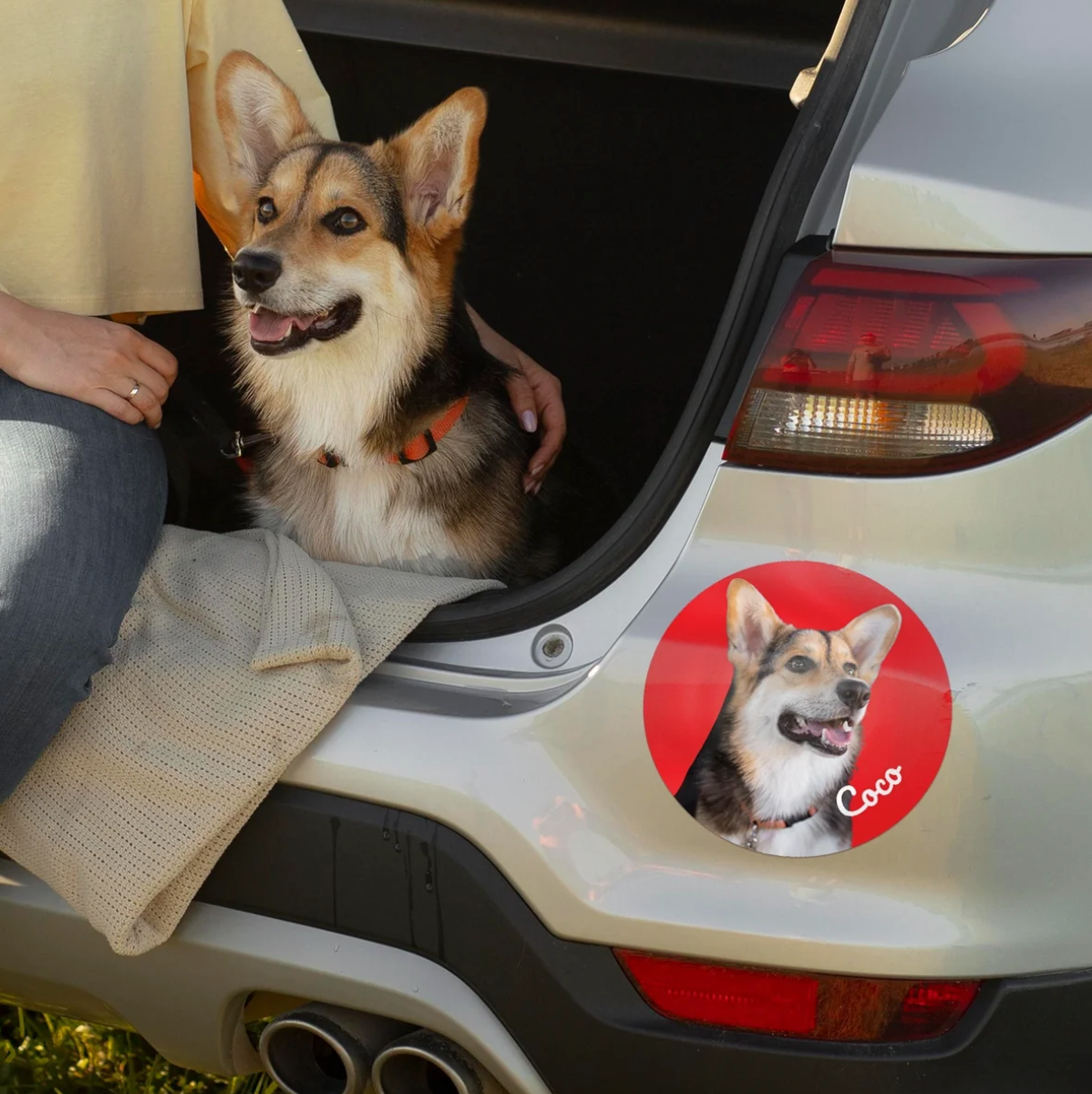 Autoaufkleber mit einem Foto eines Hundes auf der Heckklappe eines Autos.