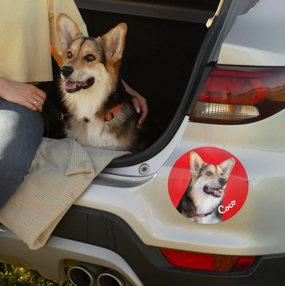 Autoaufkleber mit einem Foto eines Hundes auf der Heckklappe eines Autos.