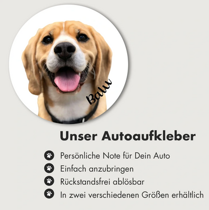 Runder Autoaufkleber mit Foto eines Beagles und dem Schriftzug "Balu".