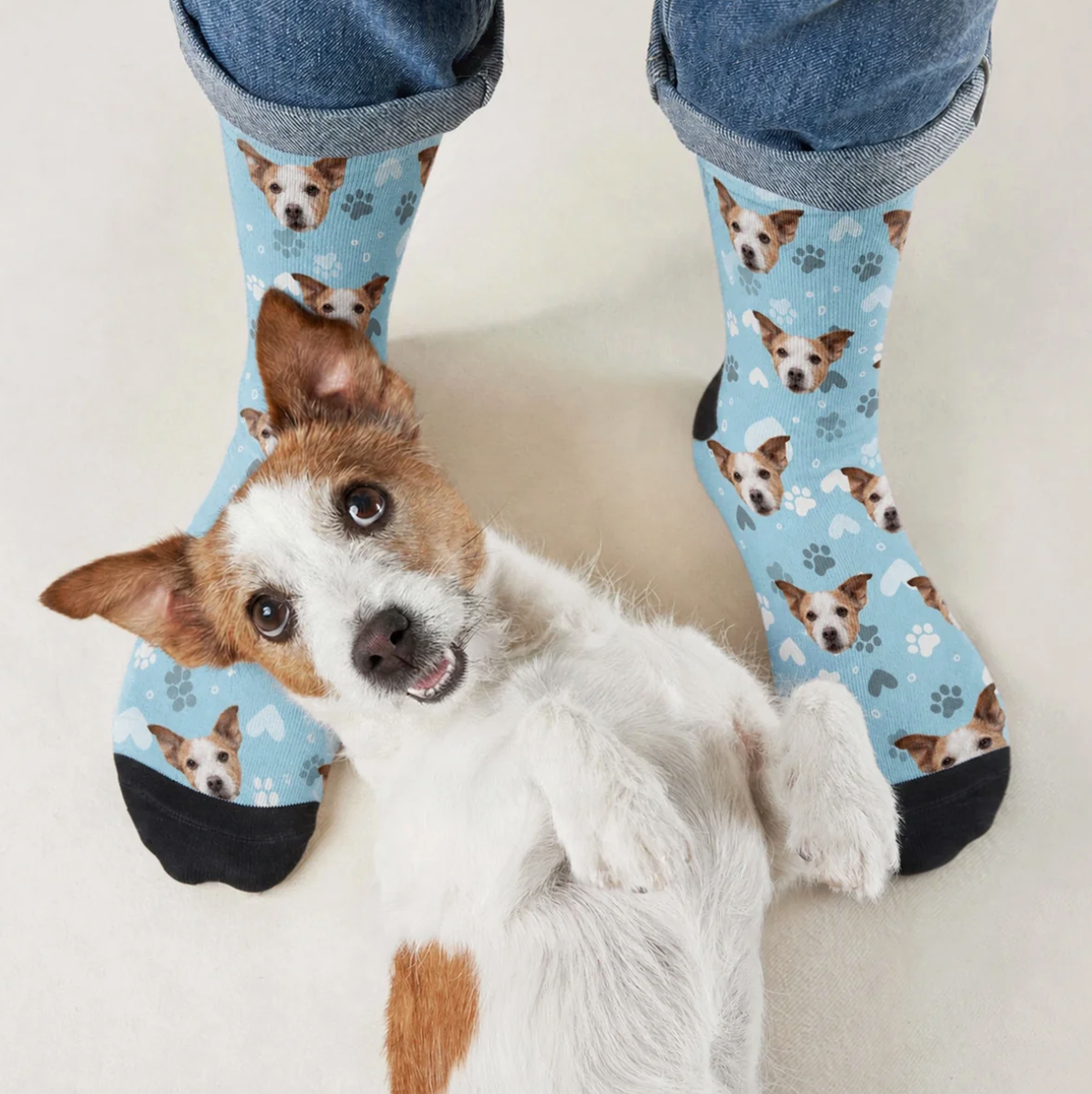 Personalisierte Socken mit Hundemotiv auf hellblauem Hintergrund und einem Hund, der auf dem Boden liegt.