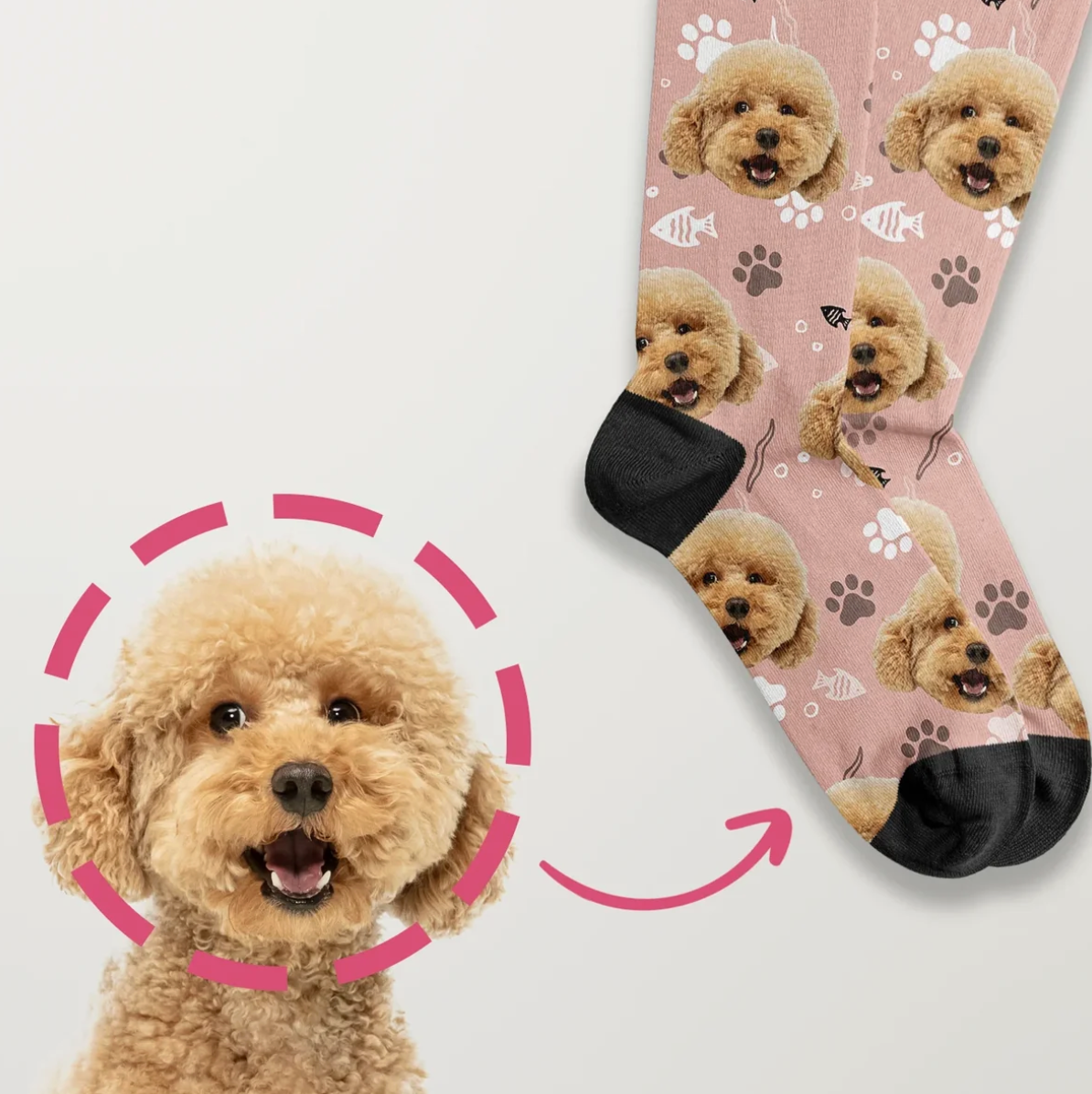 Personalisierte Socken mit Fotodruck eines Hundes auf rosa Hintergrund und schwarzem Bund.