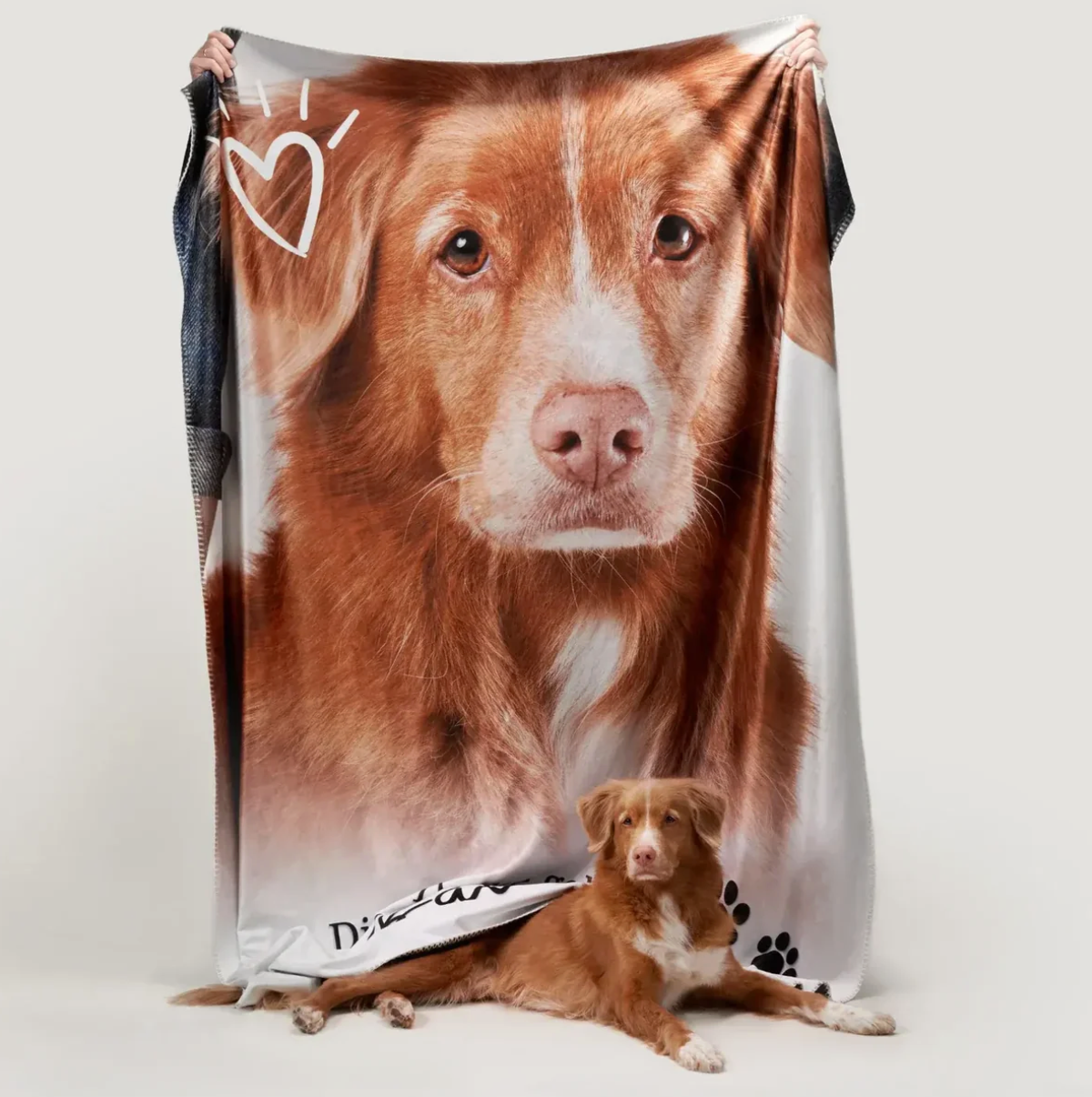 Personalisierte Decke mit Bild eines Hundes, gehalten von einer Person, braun-weiße Farben. Hund liegt im Vordergrund.
