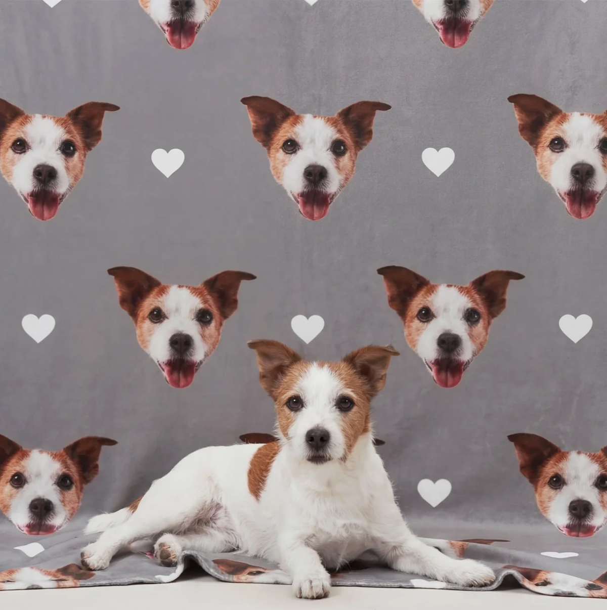 Personalisierte Haustierdecke in Grau mit Hundeköpfen und Herzen, liegendes Tier im Vordergrund.