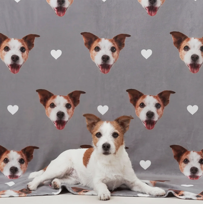 Personalisierte Haustierdecke in Grau mit Hundeköpfen und Herzen, liegendes Tier im Vordergrund.