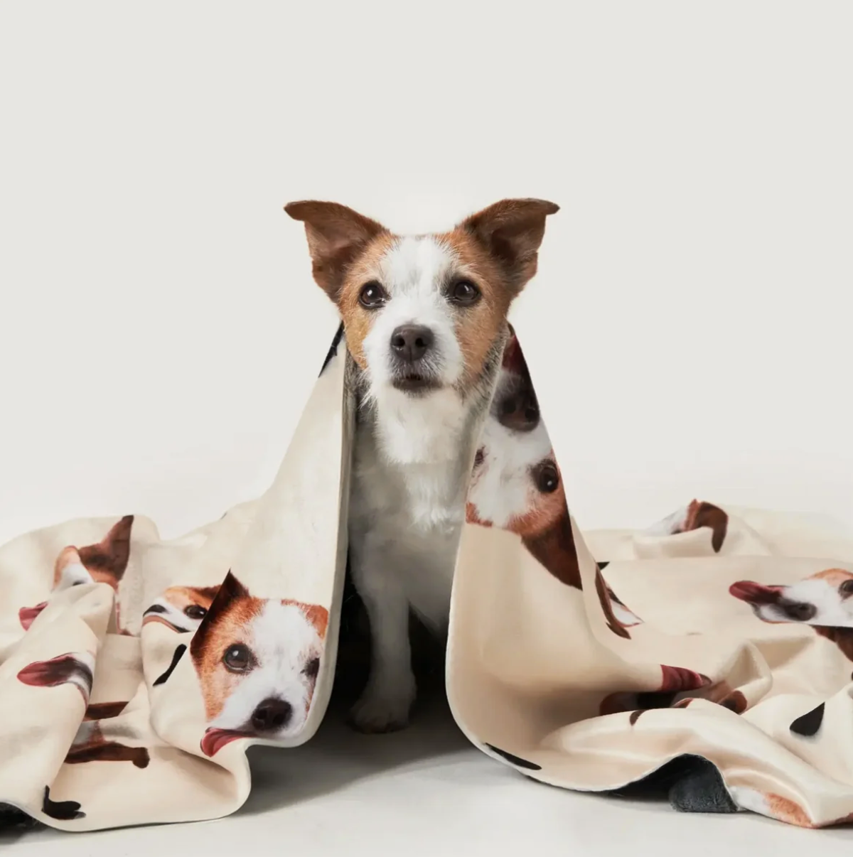 Haustierdecke mit Tierköpfen, umhüllt einen Hund, beige mit buntem Druck.