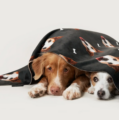 Zwei Hunde liegen unter einer personalisierten Decke mit Haustierköpfen in Schwarz.