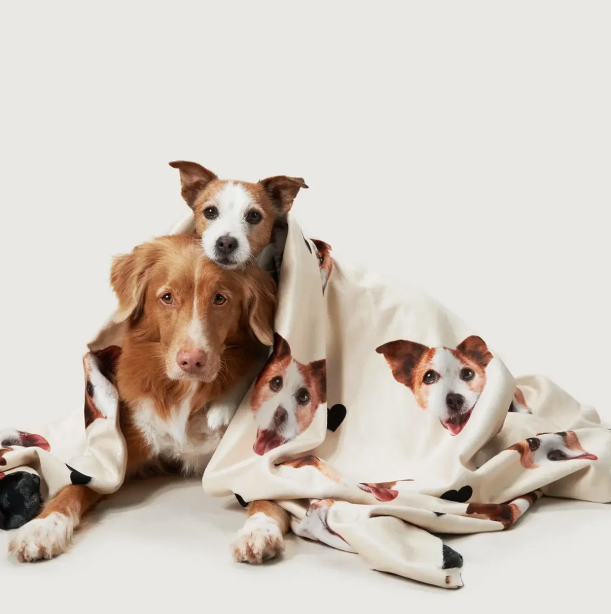 Personalisierte Decke mit Tierkopf-Motiven, beige, um zwei Hunde gewickelt.