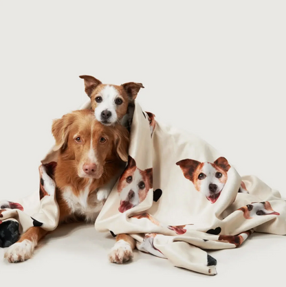 Personalisierte Decke mit Tierkopf-Motiven, beige, um zwei Hunde gewickelt.