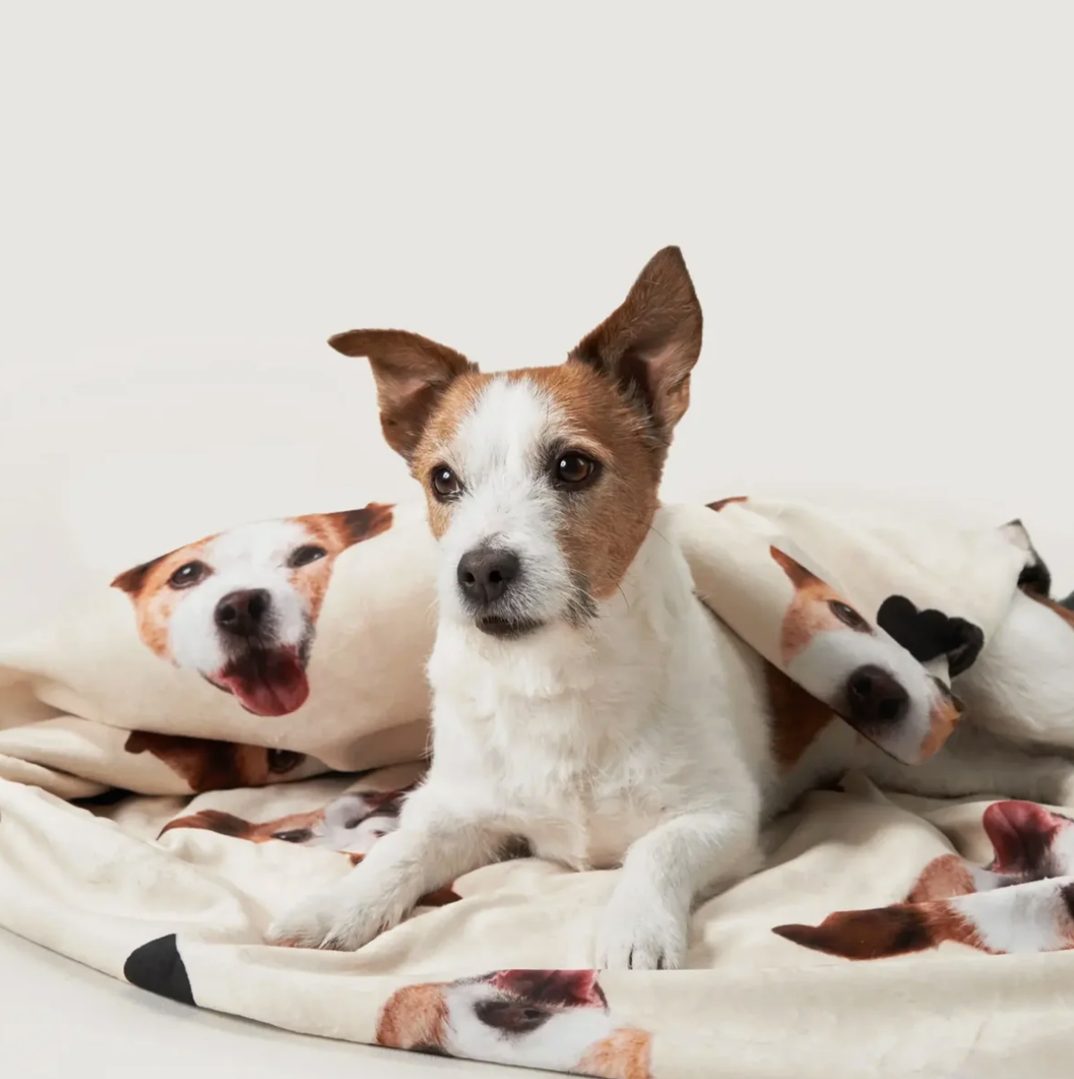 Personalisierte Decke mit Hundebildern, cremefarbener Hintergrund und weichem Material. Hund liegt darauf.